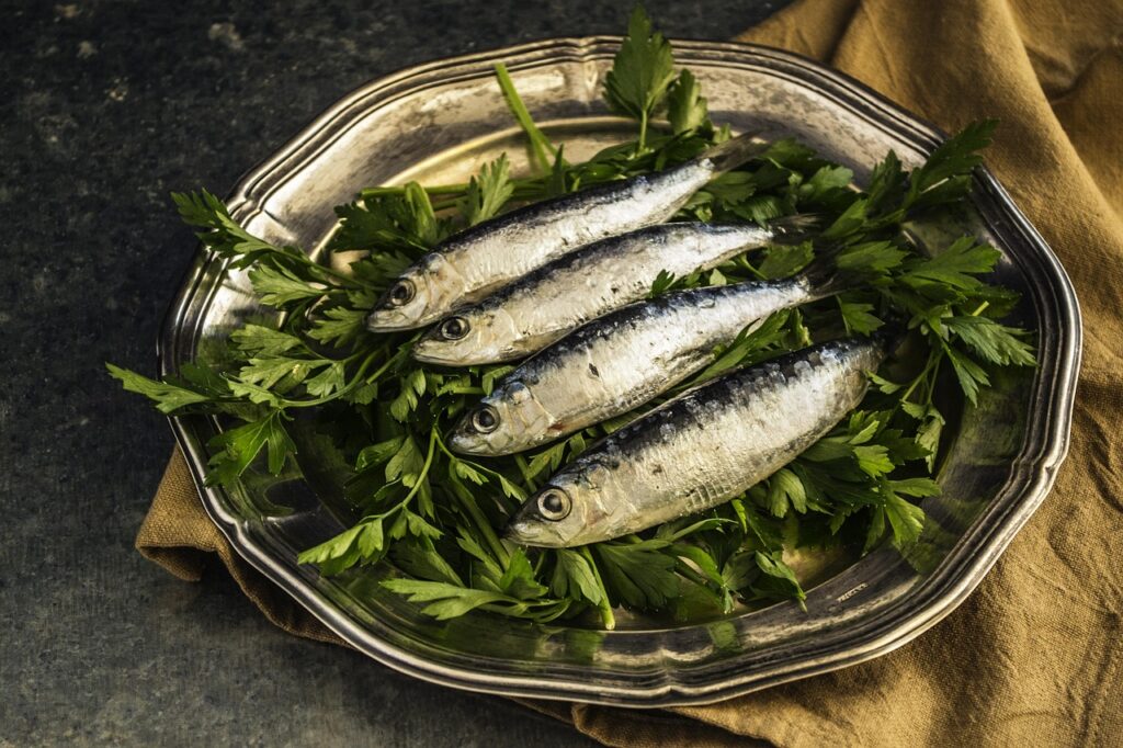 sardines, fish, lunch, healthy, plate, delicious, omega, prepared, nature, dinner, traditional, appetizer, meal, nutrition, fishing, seafood, mediterranean, plated, metal plate, food, mystic light, parsley